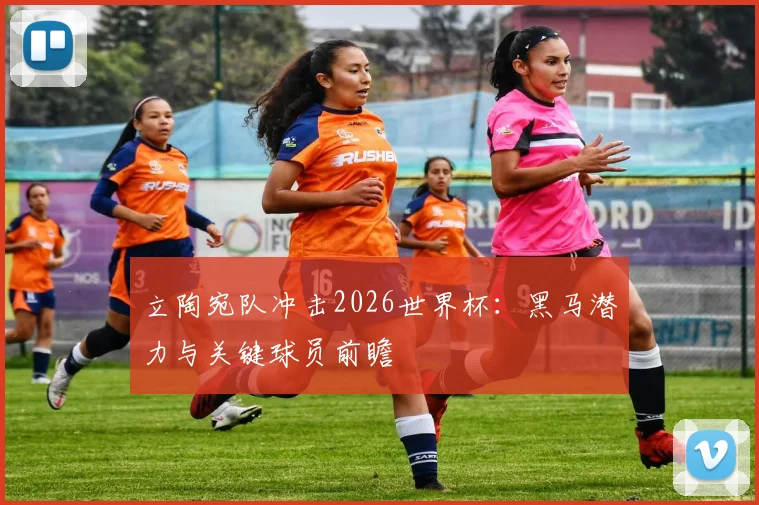 立陶宛队冲击2026世界杯:黑马潜力与关键球员前瞻